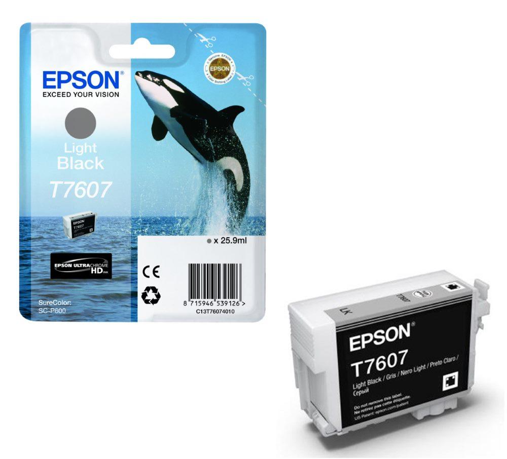 Inkoust Epson C13T76074010 light black