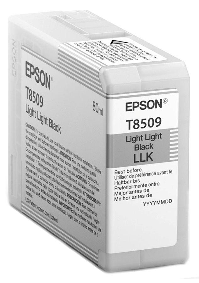 Inkoust Epson C13T850900 light light black