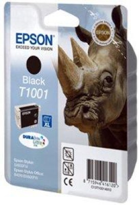 Inkoust Epson T1001 C13T10014010 black