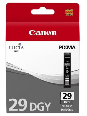 Inkoust Canon PGI-29DGY dark gray