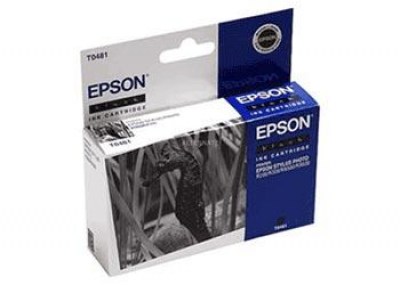 Inkoust Epson T0481 C13T048140 black