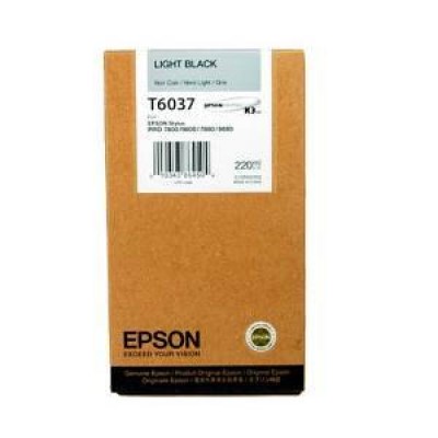 Inkoust Epson T6037 C13T603700 light black