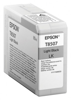 Inkoust Epson C13T850700 light black